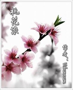 桃花浪+梁上非君子+成化廿年春+百花最深处（桃花浪系列）