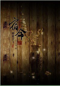 （神医大道公同人）宿命