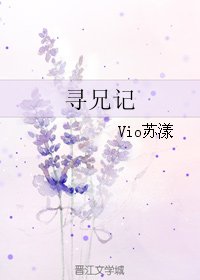 寻兄记