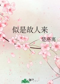 《似是故人来》