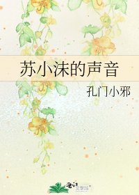 《苏小沫的声音》