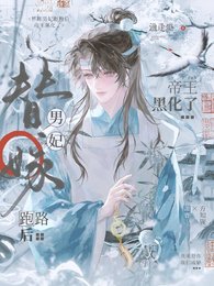 《替嫁男妃跑路朔,帝王黑化了》